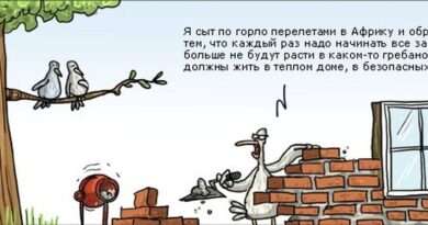 Сыт по горло: разбираем значение и контекст данного выражения. Смотреть фото Сыт по горло: разбираем значение и контекст данного выражения. Смотреть картинку Сыт по горло: разбираем значение и контекст данного выражения. Картинка про Сыт по горло: разбираем значение и контекст данного выражения. Фото Сыт по горло: разбираем значение и контекст данного выражения